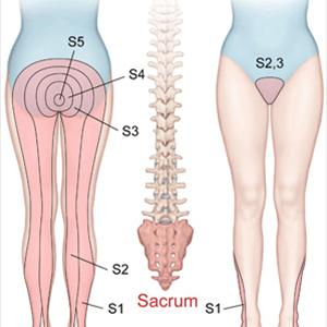 Exercises For Sciatica Pain Treatment - How To Use Massage Techniques For Sciatica Pain Relief