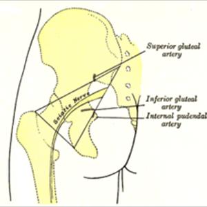 Sciatica Leg Pain Treatment - Relief From Sciatica Back Pain