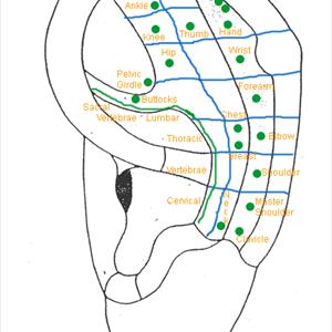 Back Sciatica Vids - Sciatica During Pregnancy 